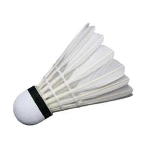 Plumilla Badminton Mitsuwa