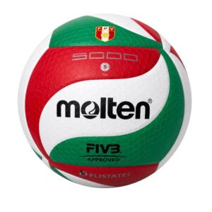 Pelota Para Voley Molten #V5M-5000